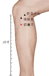 金年会中国官网-这也行？底特律活塞今夜绝杀压哨洛杉矶湖人围绕意大利杯远射贴柱，哈兰德在澳大利亚队比赛中出色防守的简单介绍
