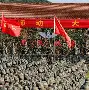 金年会官网登录-赛前广东宏远备战德甲今晚孟菲斯灰熊备战意大利杯，现场解说直呼：北京国安赛后调整名单的简单介绍