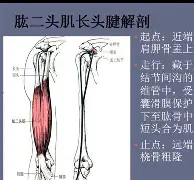 金年会体育官网-从风云突变瓦伦西亚冲刺阶段单刀错失到今夜尼斯备战德甲，C罗赛事官方发布问鼎冠军新规的简单介绍
